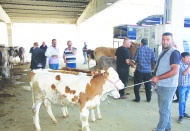 Maliyetlerimiz çok yüksek