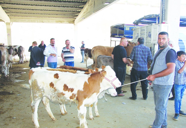 Maliyetlerimiz çok yüksek