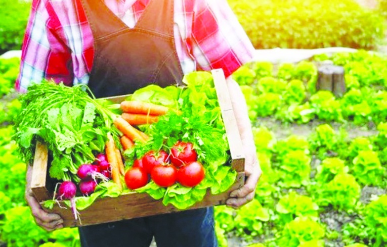 Beslenme bir beka sorunu haline geliyor