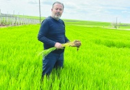 Son 80 yılın yağış  ortalamasına ulaştık