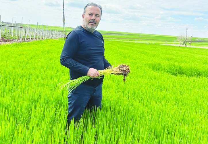 Son 80 yılın yağış  ortalamasına ulaştık