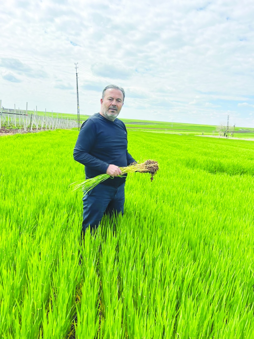 Son 80 yılın yağış  ortalamasına ulaştık