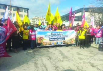 Verilen teklifler, ülke genelindeki örneklerin gerisinde kaldı
