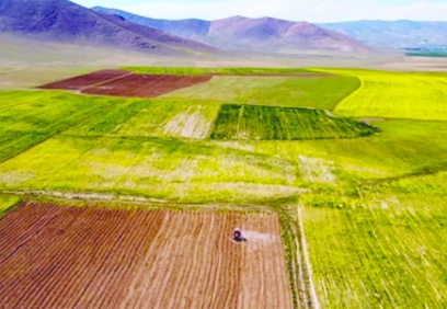Güneydoğu’da arazi fiyat artışları tavan yaptı
