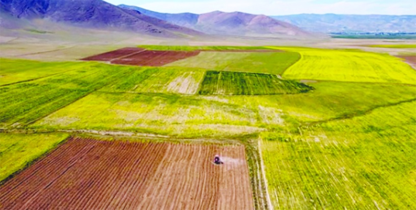 Güneydoğu’da arazi fiyat artışları tavan yaptı