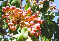 Son sekiz yılın en yüksek seviyesi