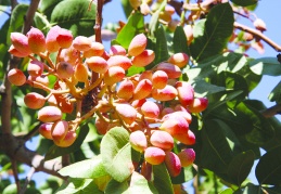 Son sekiz yılın en yüksek seviyesi