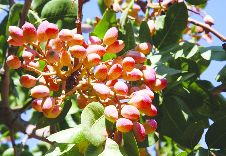 Son sekiz yılın en yüksek seviyesi