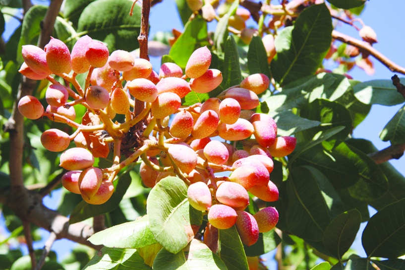 Son sekiz yılın en yüksek seviyesi