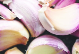 Araban sarımsağı dünyanın en kaliteli 4. Sarımsağı oldu