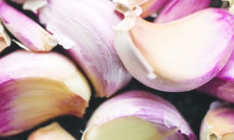 Araban sarımsağı dünyanın en kaliteli 4. Sarımsağı oldu