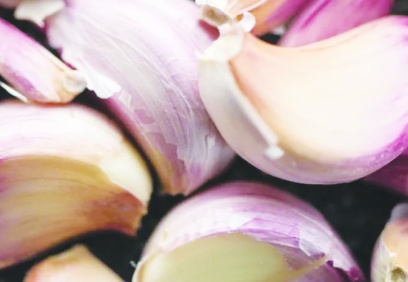 Araban sarımsağı dünyanın en kaliteli 4. Sarımsağı oldu