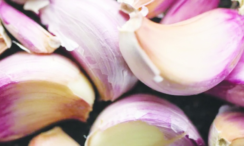 Araban sarımsağı dünyanın en kaliteli 4. Sarımsağı oldu