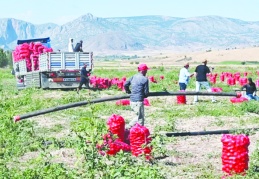 'Çiftçinin borcu 9,8 kat büyüdü'