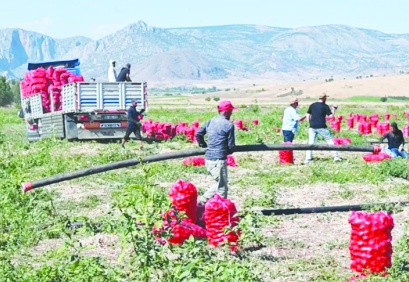 'Çiftçinin borcu 9,8 kat büyüdü'