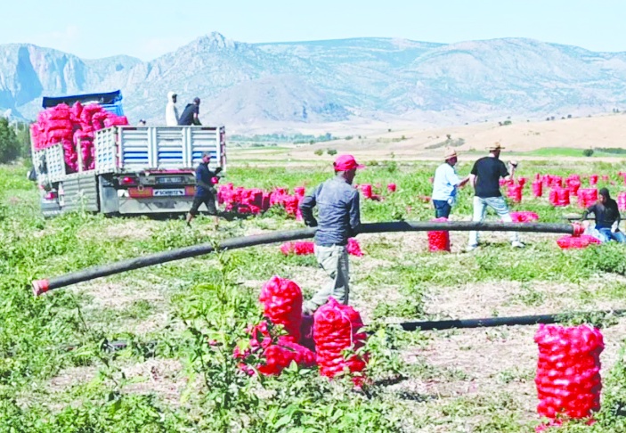 'Çiftçinin borcu 9,8 kat büyüdü'
