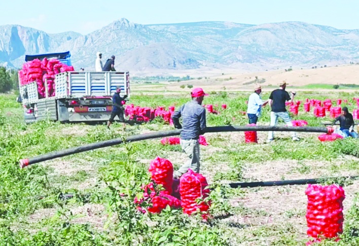 'Çiftçinin borcu 9,8 kat büyüdü'