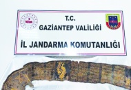 Piton derisine işlenmiş İbranice altın yazma kitap ele geçirildi