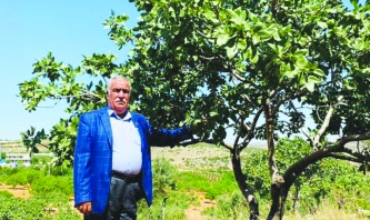 Hayvancılık bitti, çiftçi fitre alacak duruma geldi