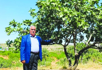 Hayvancılık bitti, çiftçi fitre alacak duruma geldi