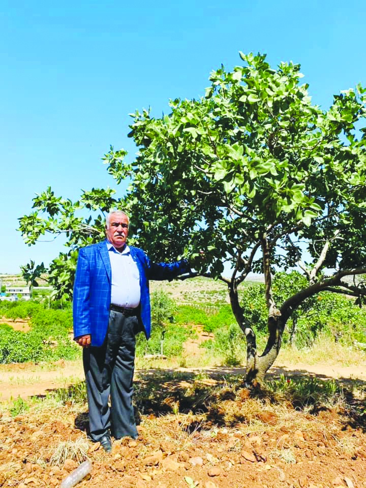 Hayvancılık bitti, çiftçi fitre alacak duruma geldi