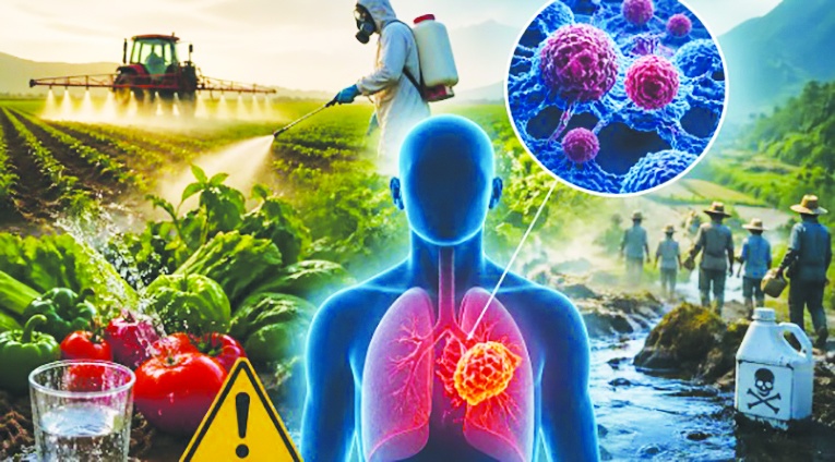 Tarım ilaçları kanser riskini yüzde 150 artırıyor