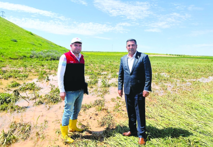 Yağışlara sevinirken dolu  ve sel üretime darbe vurdu