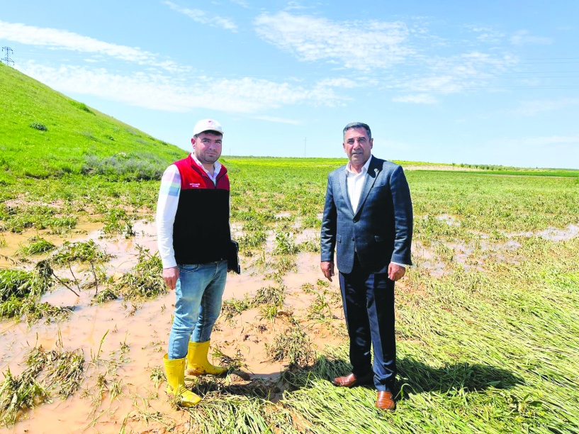 Yağışlara sevinirken dolu  ve sel üretime darbe vurdu