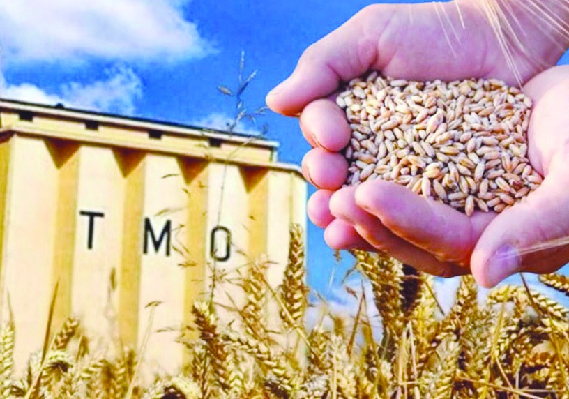 Devletin ofisinden 100  milyonluk buğday nasıl çalınır?