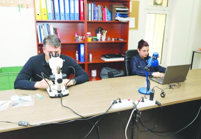 Ekmek bir adak ya da ritüel  unsuru olarak kullanılmış olabilir