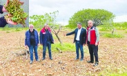 Fırtına ve afet çiftçinin tüm  emeklerini aldı götürdü