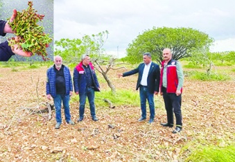 Fırtına ve afet çiftçinin tüm  emeklerini aldı götürdü