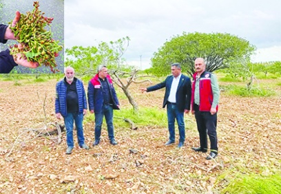 Fırtına ve afet çiftçinin tüm  emeklerini aldı götürdü