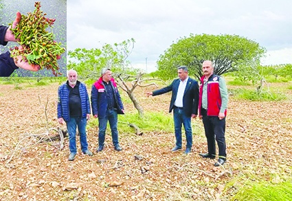 Fırtına ve afet çiftçinin tüm  emeklerini aldı götürdü