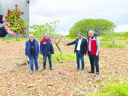 Fırtına ve afet çiftçinin tüm  emeklerini aldı götürdü