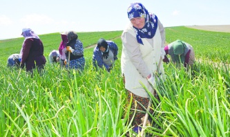 “Çiftçinin evine kadar haciz gidiyor”
