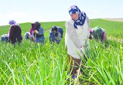 “Çiftçinin evine kadar haciz gidiyor”
