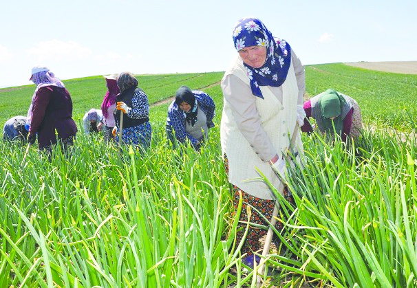 “Çiftçinin evine kadar haciz gidiyor”