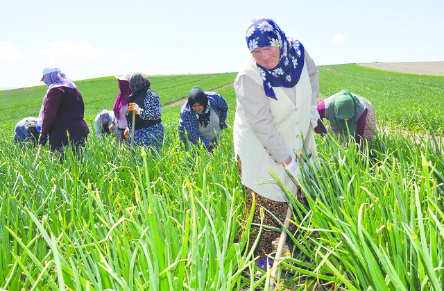 “Çiftçinin evine kadar haciz gidiyor”