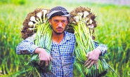 Üretimin merkezindeki çiftçi güçlendirilmeli