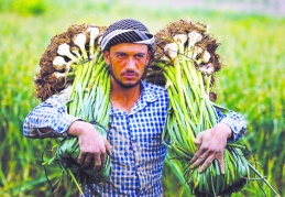 Üretimin merkezindeki çiftçi güçlendirilmeli
