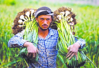 Üretimin merkezindeki çiftçi güçlendirilmeli