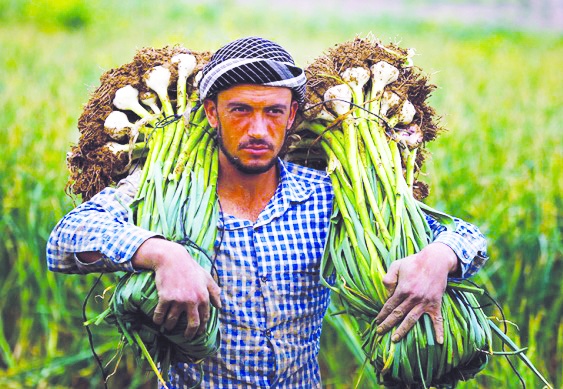 Üretimin merkezindeki çiftçi güçlendirilmeli