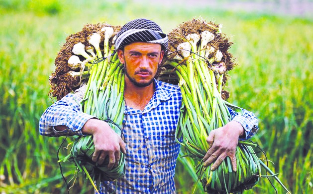 Üretimin merkezindeki çiftçi güçlendirilmeli
