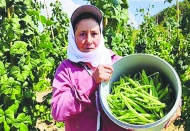 Sebzede üretici fiyatları ikiye katlandı