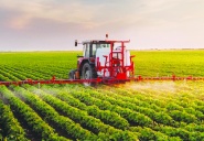 Tarımda maliyet, ihracatçıda fiyat artışı sürüyor