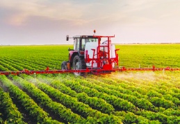 Tarımda maliyet, ihracatçıda fiyat artışı sürüyor