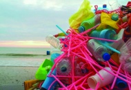 27 AB ülkesinin plastik atık  ihracatının birinci adresiyiz