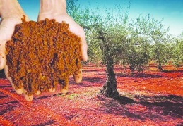 Verimli toprakların korunması hayati önem taşıyor