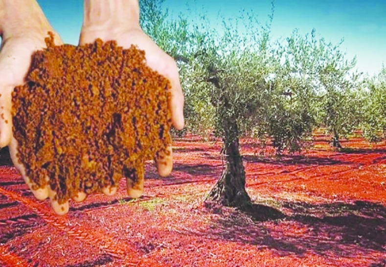 Verimli toprakların korunması hayati önem taşıyor